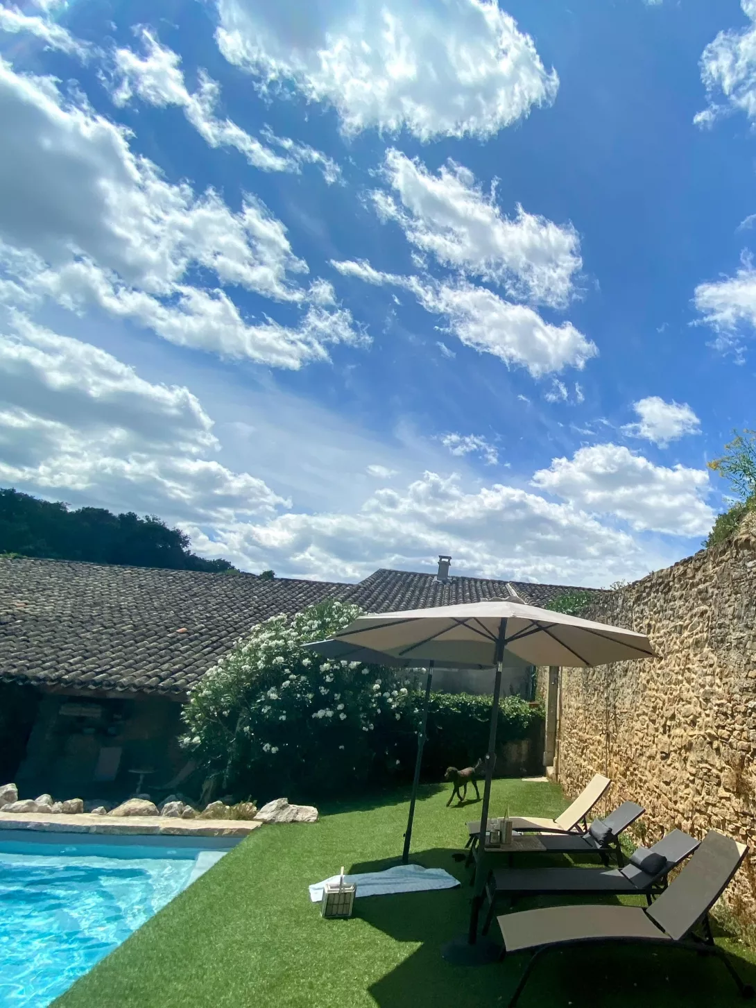 Mas des Pelissiers- Piscine